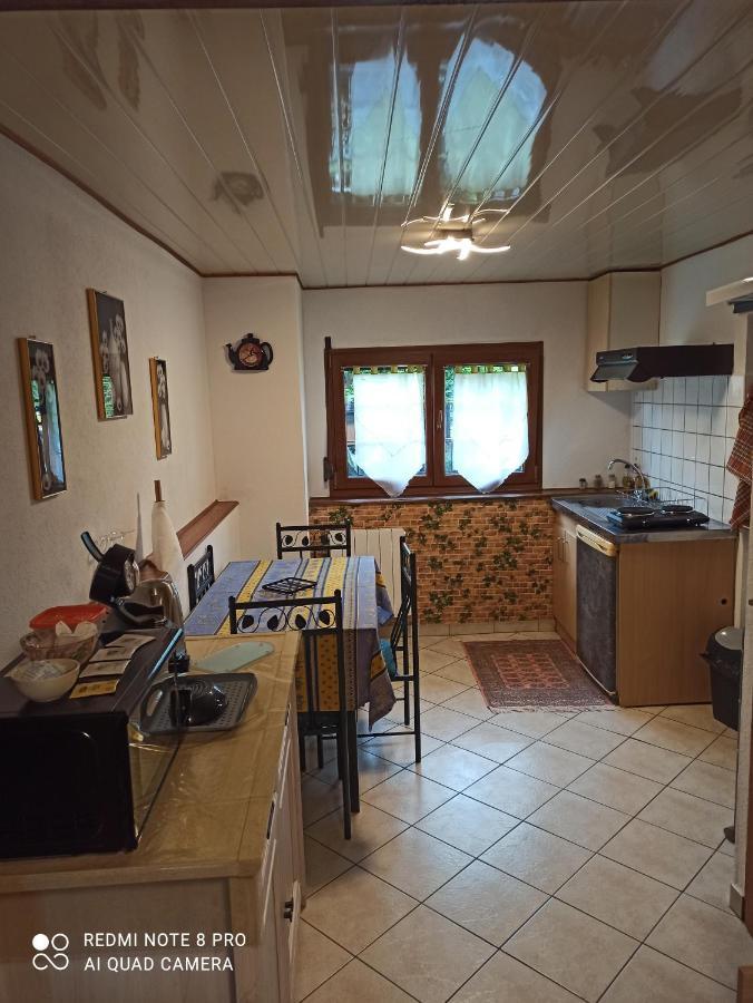 Le Bien Vivre Appartement Wittenheim Buitenkant foto
