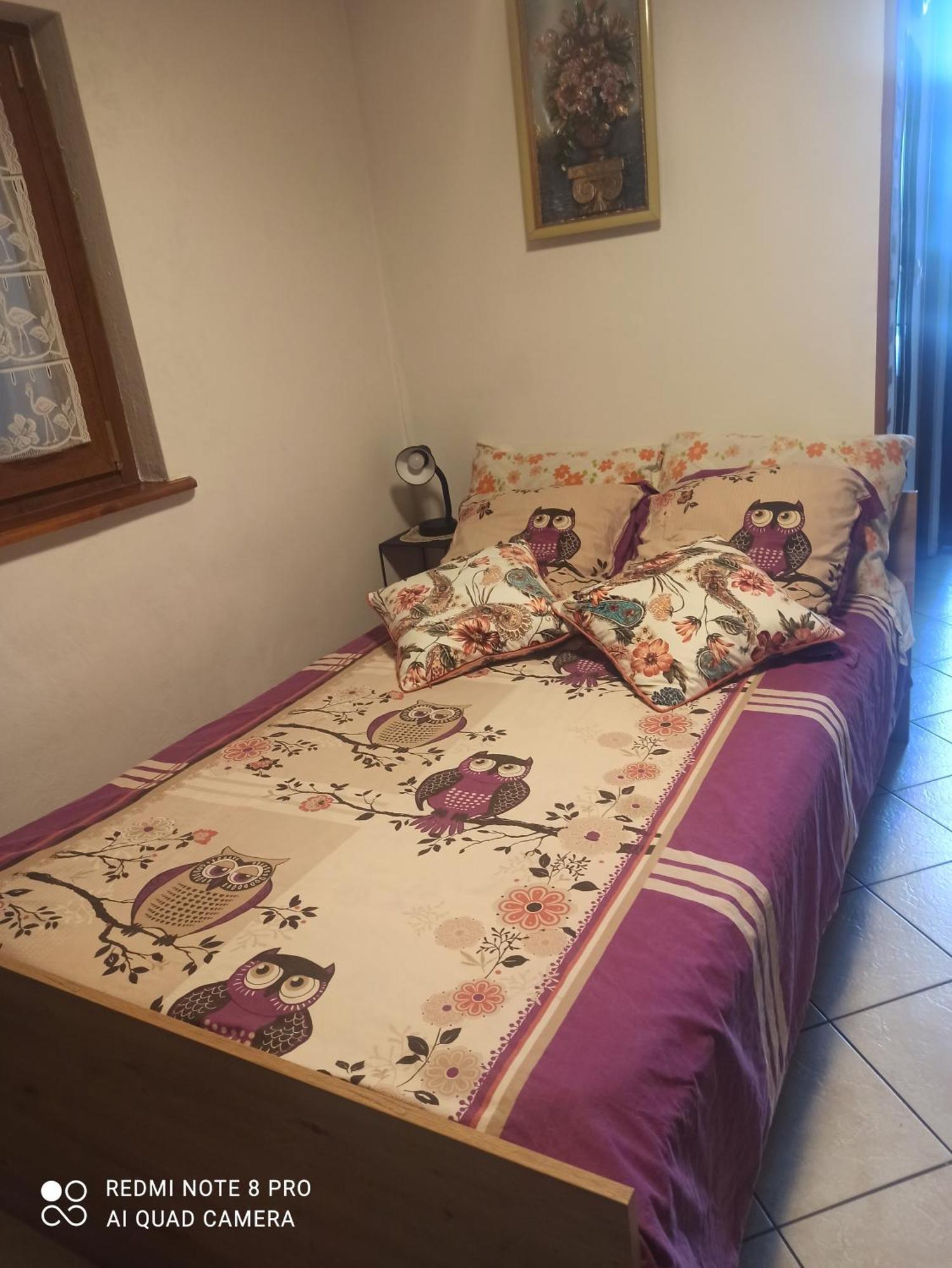 Le Bien Vivre Appartement Wittenheim Buitenkant foto